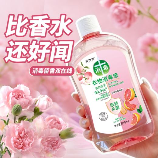 自营（泰利嘉）- 自然香氛衣物消毒液 500ml*5瓶 商品图2