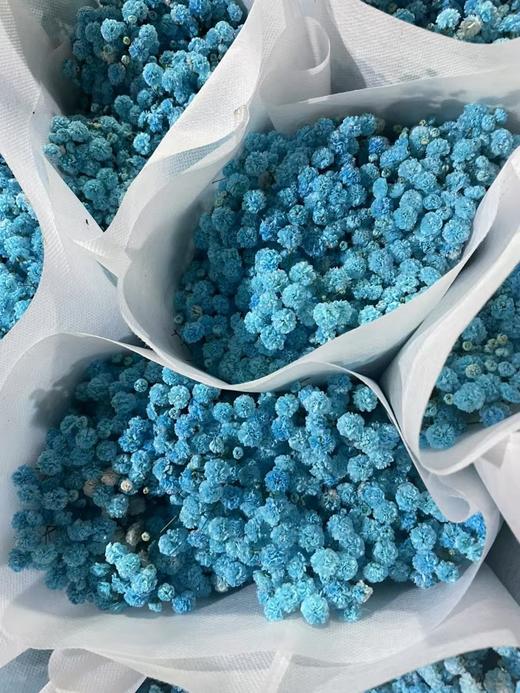 吸色彩星蓝色 商品图0