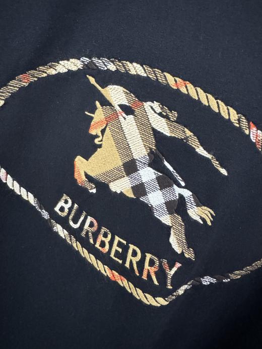 男款刺绣logo短袖T恤he007 商品图1