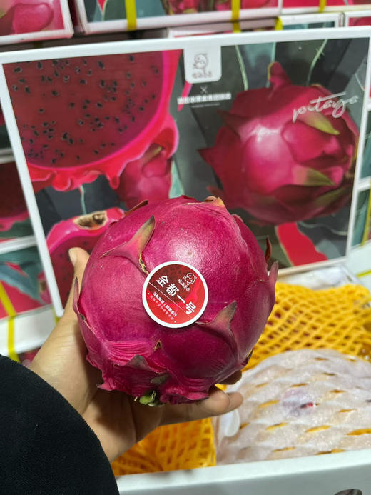 农科院蜜宝火龙🌷果。滚圆的大果 商品图13