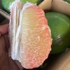 【京东快递】泰国翡翠柚 果皮油润光亮如翡翠 果形圆润饱满 皮薄易剥 清香扑鼻 果肉瓣粒分明 - AHYJC 商品缩略图1