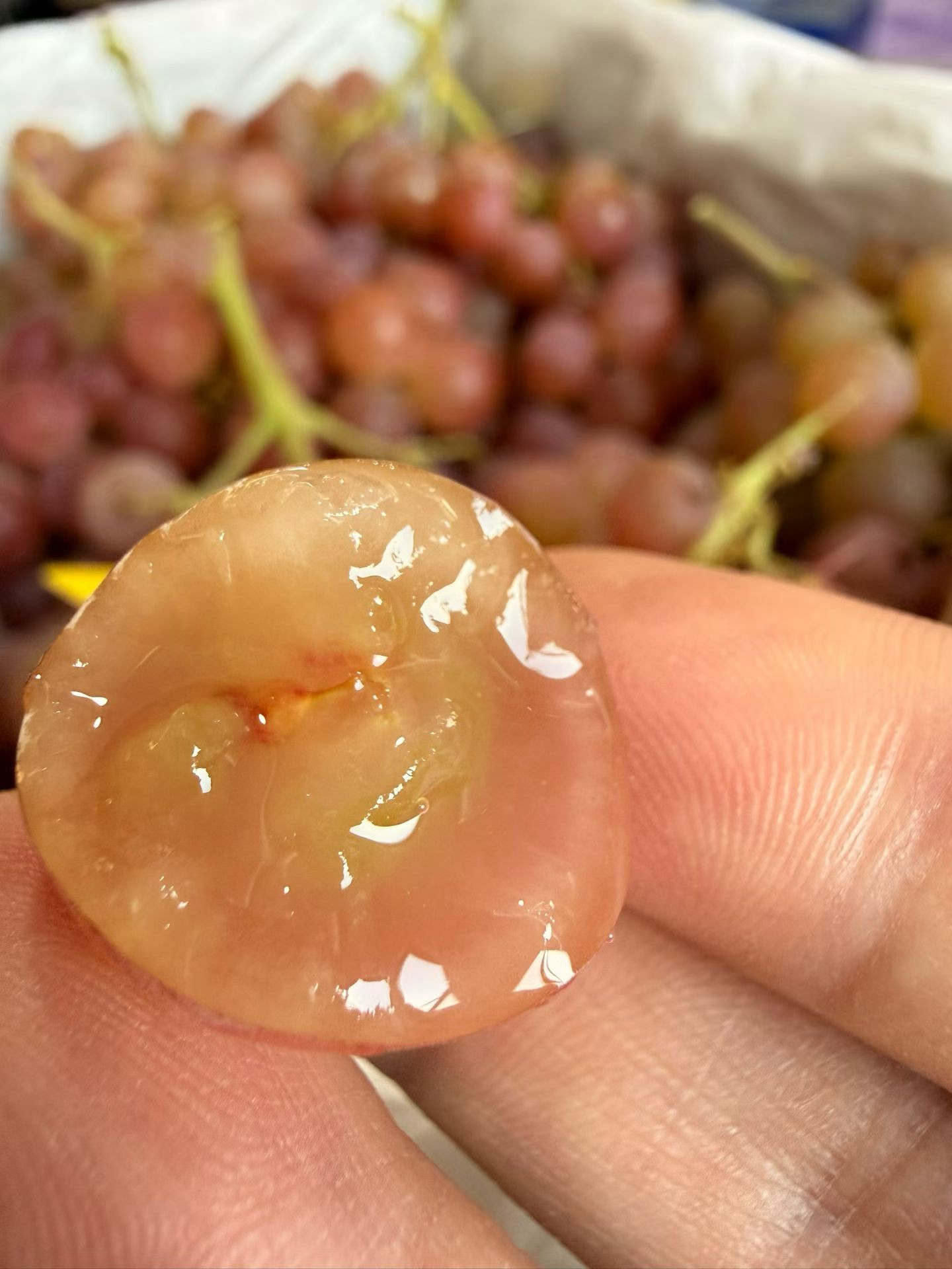 【进口】自带浓郁荔枝香  澳洲荔枝香玻璃提  小众品种 圆滚滚晶莹剔透 果粒坚实紧致 甜度高而不腻 一口咬下去，简直脆噗噗地爆汁，甜蜜入心。