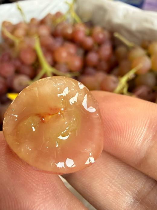 【进口】自带浓郁荔枝香  澳洲荔枝香玻璃提  小众品种 圆滚滚晶莹剔透 果粒坚实紧致 甜度高而不腻 一口咬下去，简直脆噗噗地爆汁，甜蜜入心。 商品图0