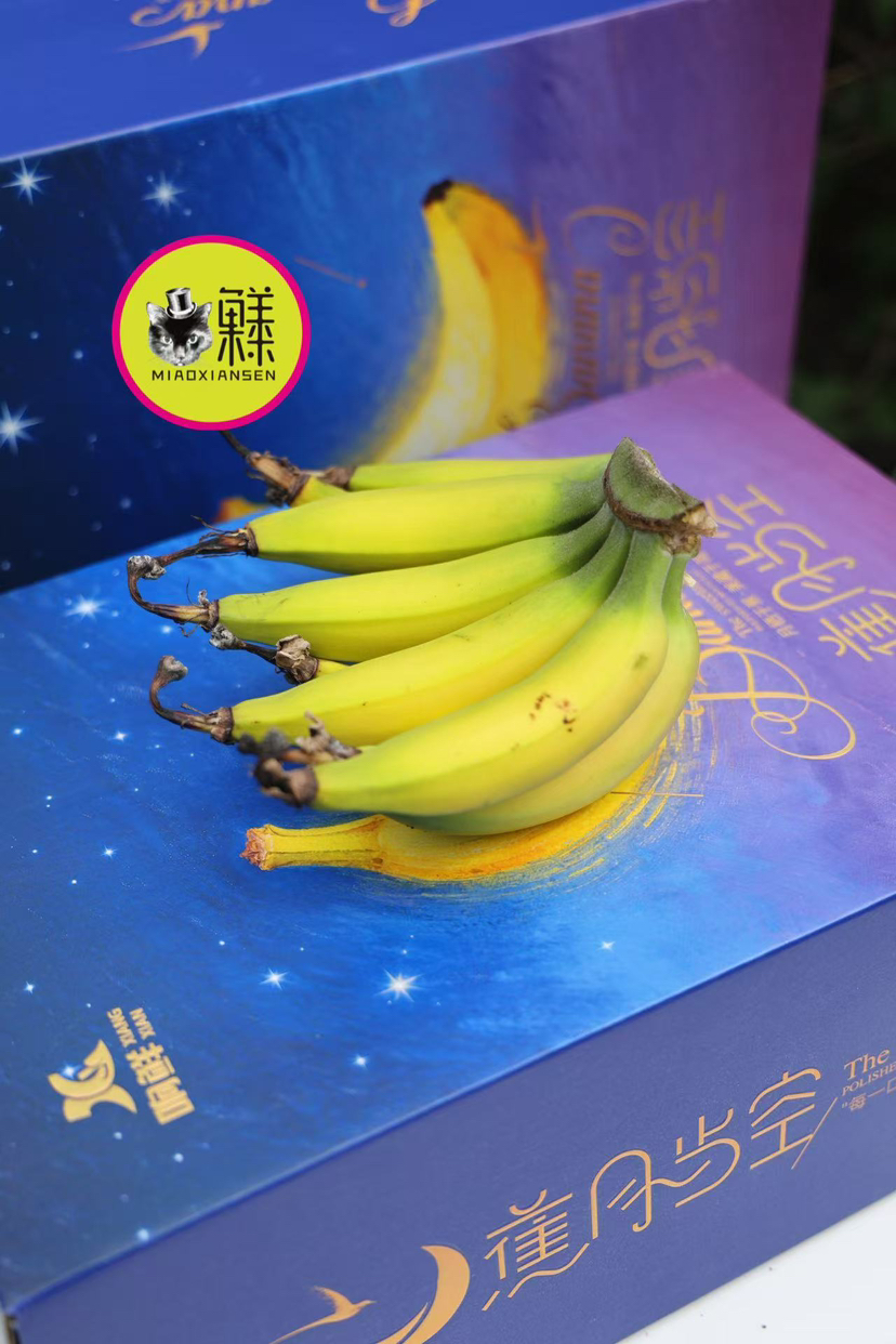 喵菓基地～三亚新品香蕉【佳丽蕉】3斤装