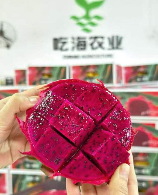 农科院蜜宝火龙🌷果。滚圆的大果 商品图12