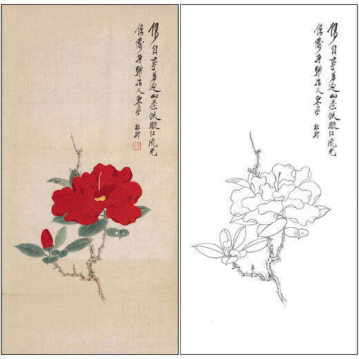 谢稚柳花鸟工笔画白描底稿《山茶花》临摹勾线高清打印稿XZ60 商品图0
