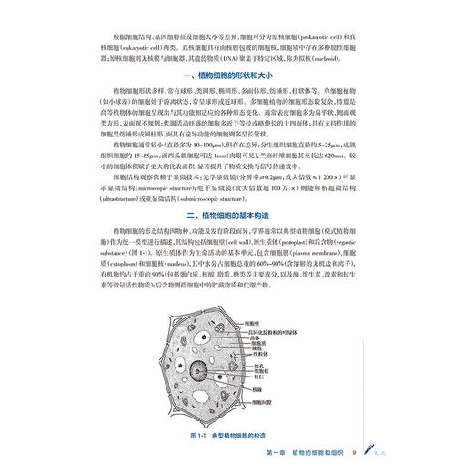 药用植物学 王光志 高德民 主编 十五五规划教材 全国高等学校中医药学历继续教育教材 供中药学、药学等专业用 人民卫生出版社 商品图4