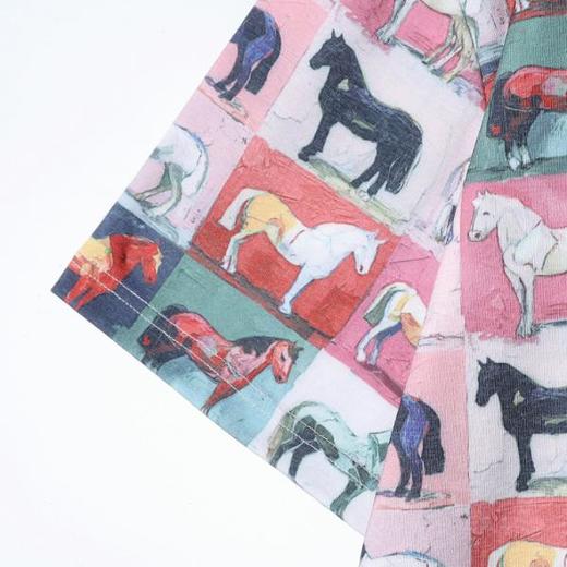 26T126SDSA男装2026新款高贵轻奢小众设计满印小马图案圆领短袖T恤百搭 商品图3