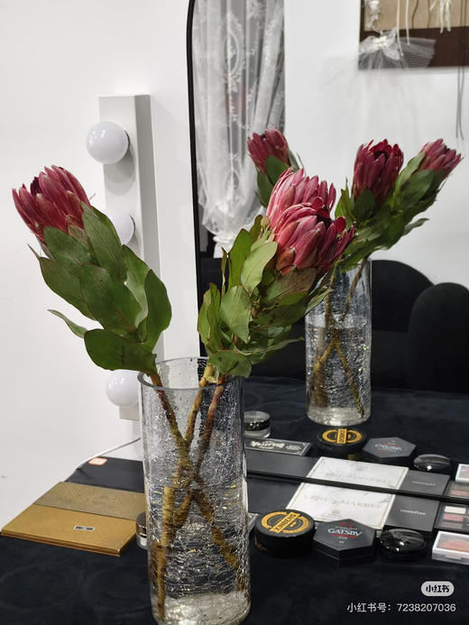 【南非公主】莎朗-单枝  浅红色 商品图1