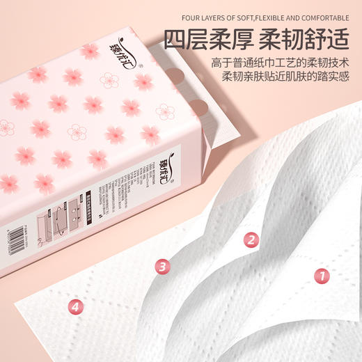 自营（泰利嘉）- 悬挂抽纸家用卫生纸6大提 商品图2