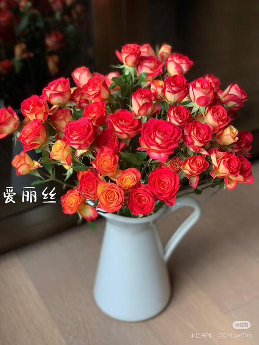 【市场多头】爱丽丝泡泡 9-10支/扎 商品图0