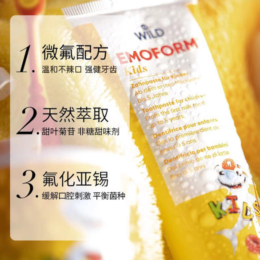 wild怀尔德瑞士进口牙膏成人牙膏光泽提亮护龈含氟 商品图5