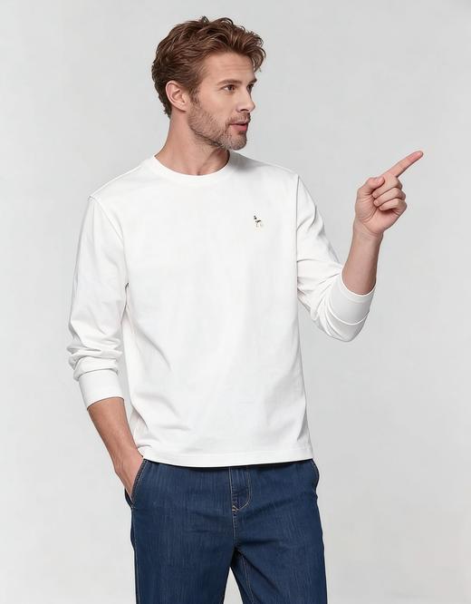 专柜同步H刺绣高支纯棉抗菌抗皱T恤 商品图7