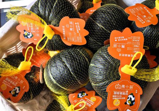 小南瓜一个 商品图0