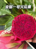 农科院蜜宝火龙🌷果。滚圆的大果 商品缩略图11