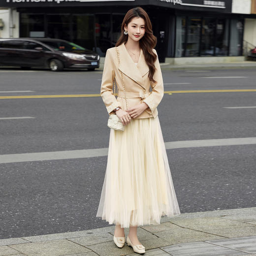 春装新款时尚气质潮流女小外套蕾丝半裙套装通用两件套AB26001 商品图3