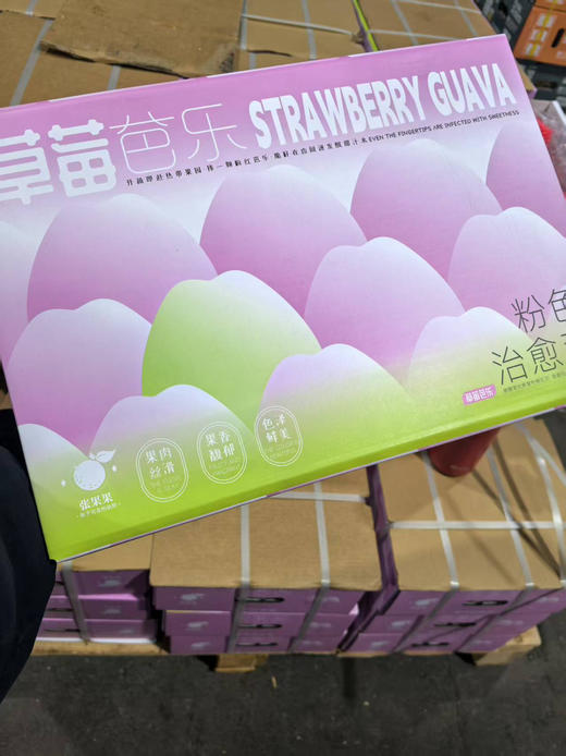 奶油芭乐&草莓芭乐到新货～脆爽时如奏响乐章，软糯时似奶油冰淇淋，甜得清新却不寡淡，浅浅萦绕鼻尖，让人上瘾 商品图12