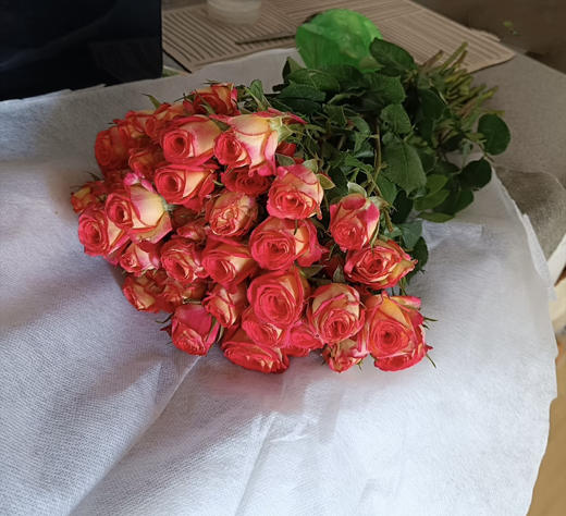 【市场多头】爱丽丝泡泡 9-10支/扎 商品图9