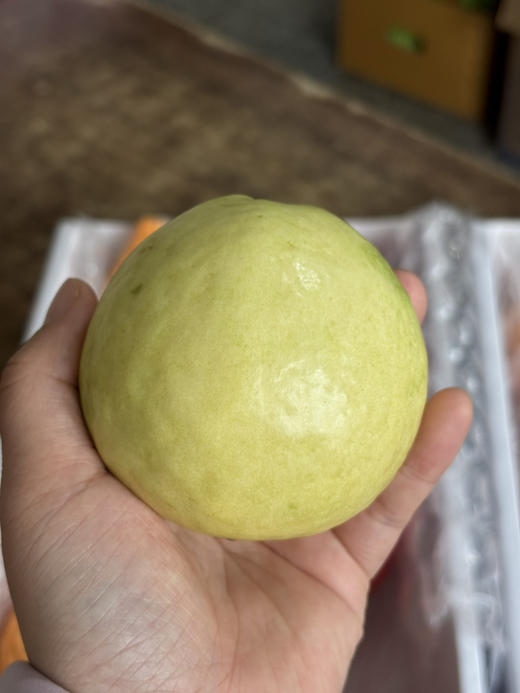 双拼芭乐到货！软糯香甜，巨巨巨好吃。使用有机肥，不催熟，不打药，真正树上熟，拿到就能吃！软软糯糯，香味四溢。 硬吃清甜 软吃糯甜！丰富膳食纤维，好吃不长肉 商品图5