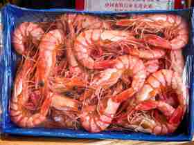 熟冻黑虎虾（30、40）750克