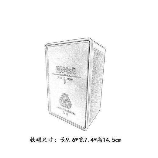 风度【滴塑面.翡绿.4听毛尖】30元1套.共5套【尾货满10套包邮】 商品图7