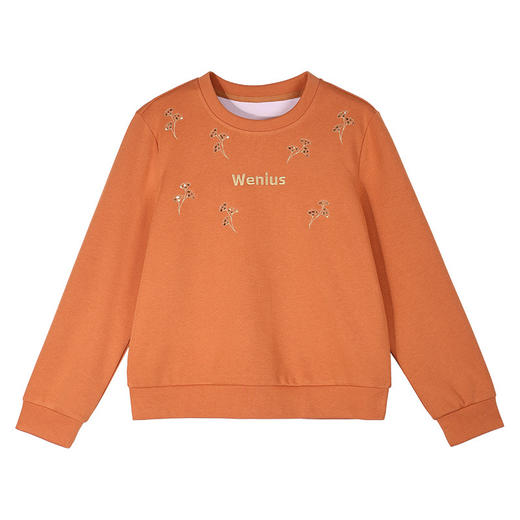 丁摩 圆领正肩女士卫衣新款春秋高端洋气宽松显瘦无帽上衣薄款6ZF-10037 商品图4