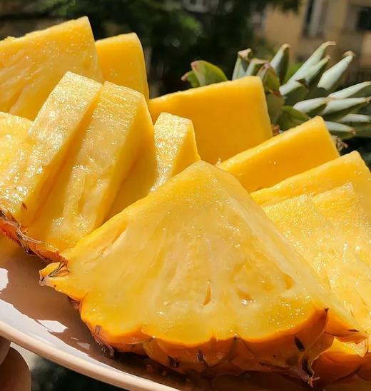 【悠选好货】特级正宗海南树熟凤梨*1.5kg 商品图0