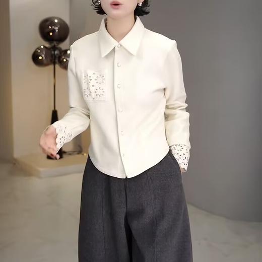 丁摩 高端复古蕾丝拼接翻领长袖衬衫女春秋高级感磨毛内搭打底上衣6ZF-0048 商品图3