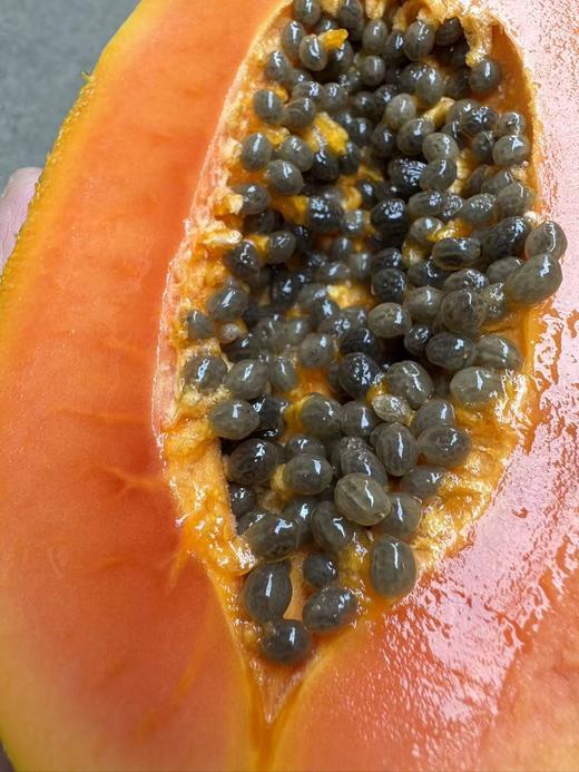 ＃冰糖牛奶木瓜＃非转基因，空运树上熟，拿到就能吃，口感完美香甜 商品图5