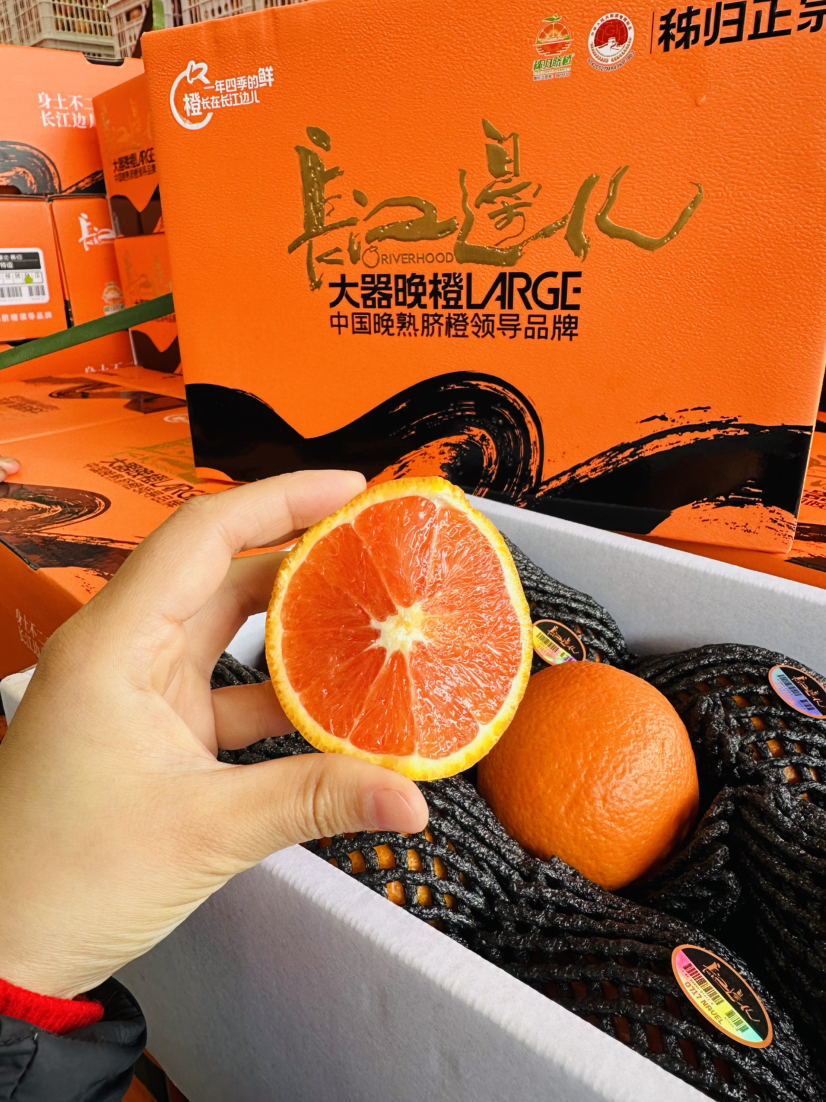 橙色星球 能量血橙