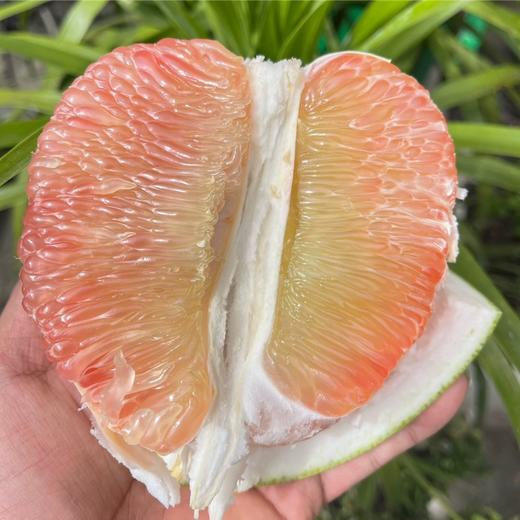 【京东快递】泰国翡翠柚 果皮油润光亮如翡翠 果形圆润饱满 皮薄易剥 清香扑鼻 果肉瓣粒分明 - AHYJC 商品图2