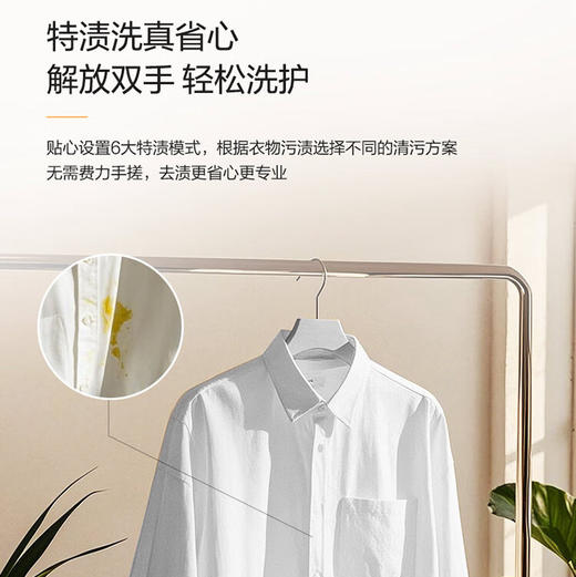 海尔（Haier）洗衣机 XQG100-BE376XS 商品图13