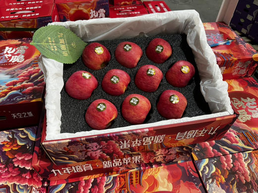 #九霄云脆🍎原始的苹果浓香，是她身上可贵的气质 爽脆 脆的不费牙， 香气四溢，入口便迸发出香味 商品图3