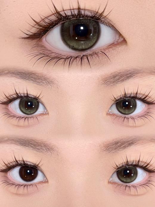 Sondercon年抛美瞳 橄榄天菜 14.5mm 商品图0