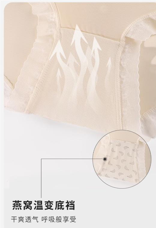 二店y 【发七条】 女神 氧致·7A燕窝小内内， 奶酪般的包裹 商品图12