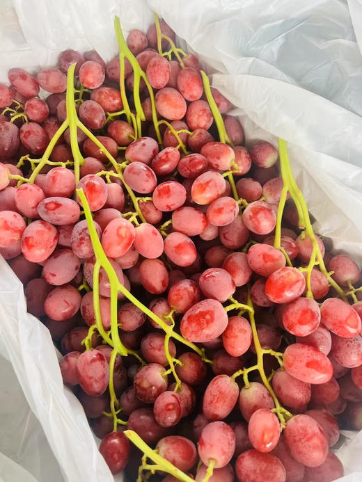 澳洲棒棒糖红提，脆甜脆甜！ 商品图0