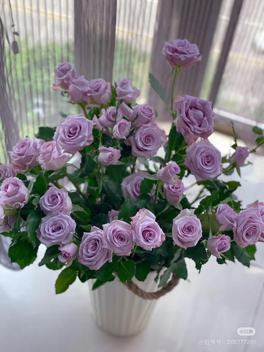 【市场多头】九星蓝狐 浅紫色  10支/扎 商品图0