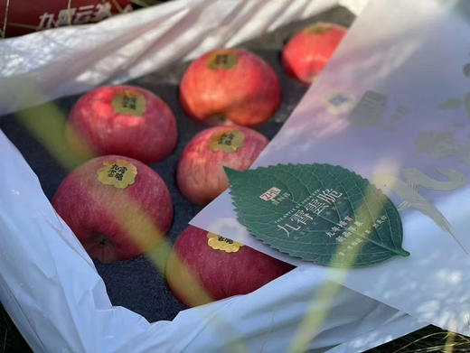 #九霄云脆🍎原始的苹果浓香，是她身上可贵的气质 爽脆 脆的不费牙， 香气四溢，入口便迸发出香味 商品图2