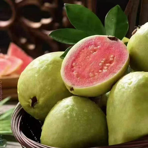 奶油芭乐&草莓芭乐到新货～脆爽时如奏响乐章，软糯时似奶油冰淇淋，甜得清新却不寡淡，浅浅萦绕鼻尖，让人上瘾 商品图6