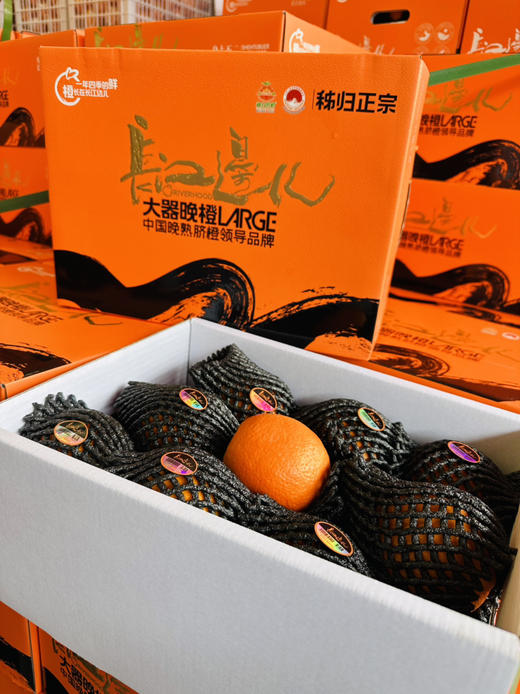 橙色星球 能量血橙 商品图7