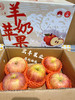 宏丰精选 超级好吃对羊奶苹果 口感脆甜 苹果味浓郁 商品缩略图1