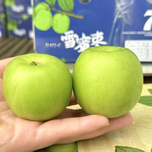 家庭装～云南西双版纳苹果枣【4A大果 净重约3斤】 商品图3