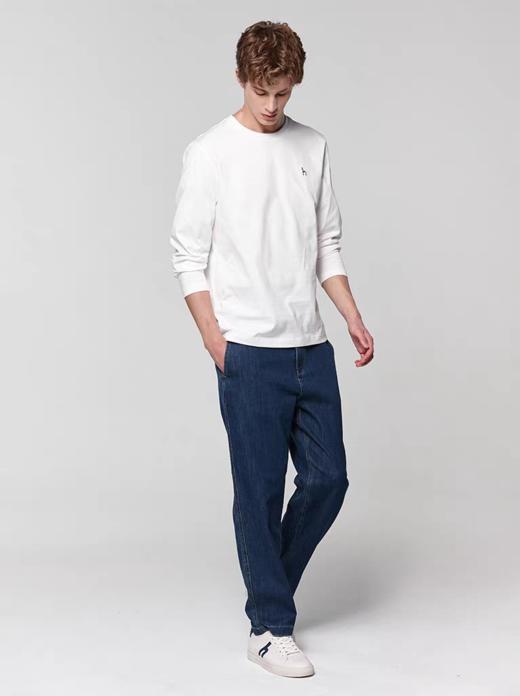 专柜同步H刺绣高支纯棉抗菌抗皱T恤 商品图2