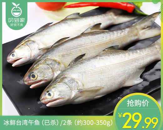 【叼鲜】冰鲜台湾午鱼（已杀）/2条（约300-350g） 商品图0