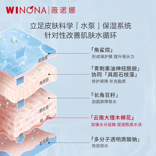 薇诺娜高保湿修护面霜(G)50g 商品图3