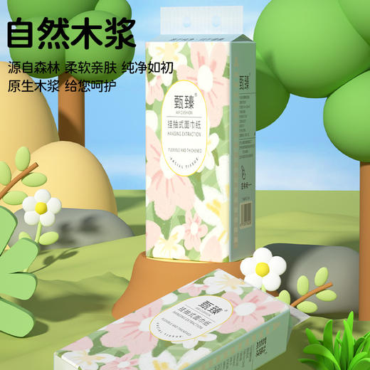 自营（泰利嘉）- 悬挂式厕所专用纸12提 商品图0