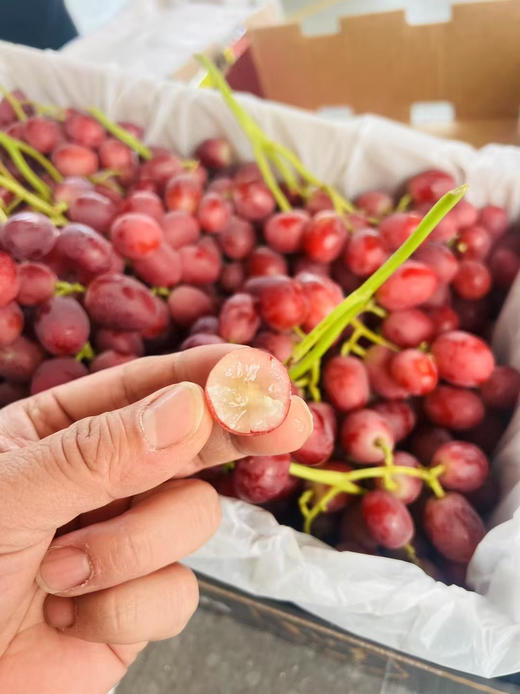 澳洲棒棒糖红提，脆甜脆甜！ 商品图2