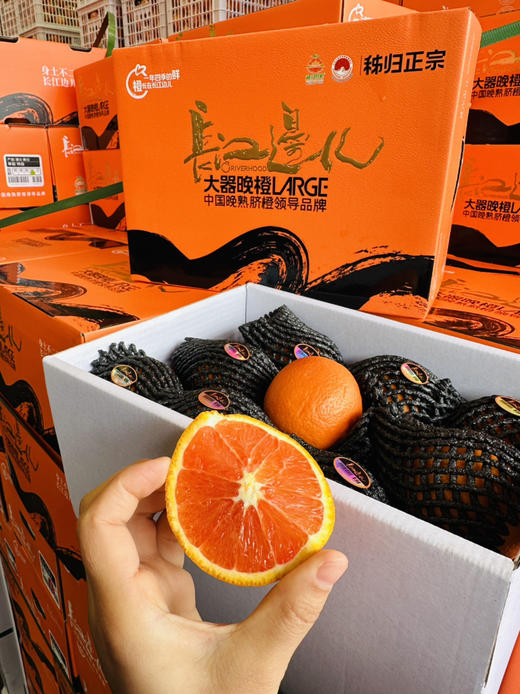 橙色星球 能量血橙 商品图1