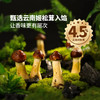 MM 山姆 姬松茸牛肉酥饼 925g 商品缩略图2