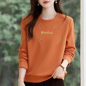 丁摩 圆领正肩女士卫衣新款春秋高端洋气宽松显瘦无帽上衣薄款6ZF-10037